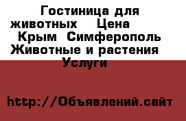 Гостиница для животных! › Цена ­ 400 - Крым, Симферополь Животные и растения » Услуги   